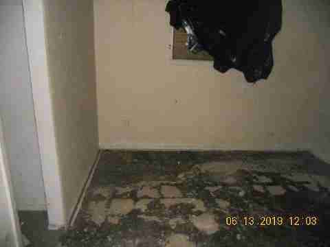 15017 Dolphin (16)_m.jpg